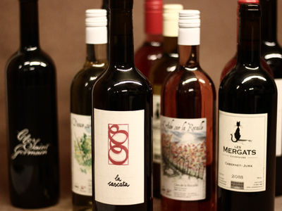 Vins.jpg